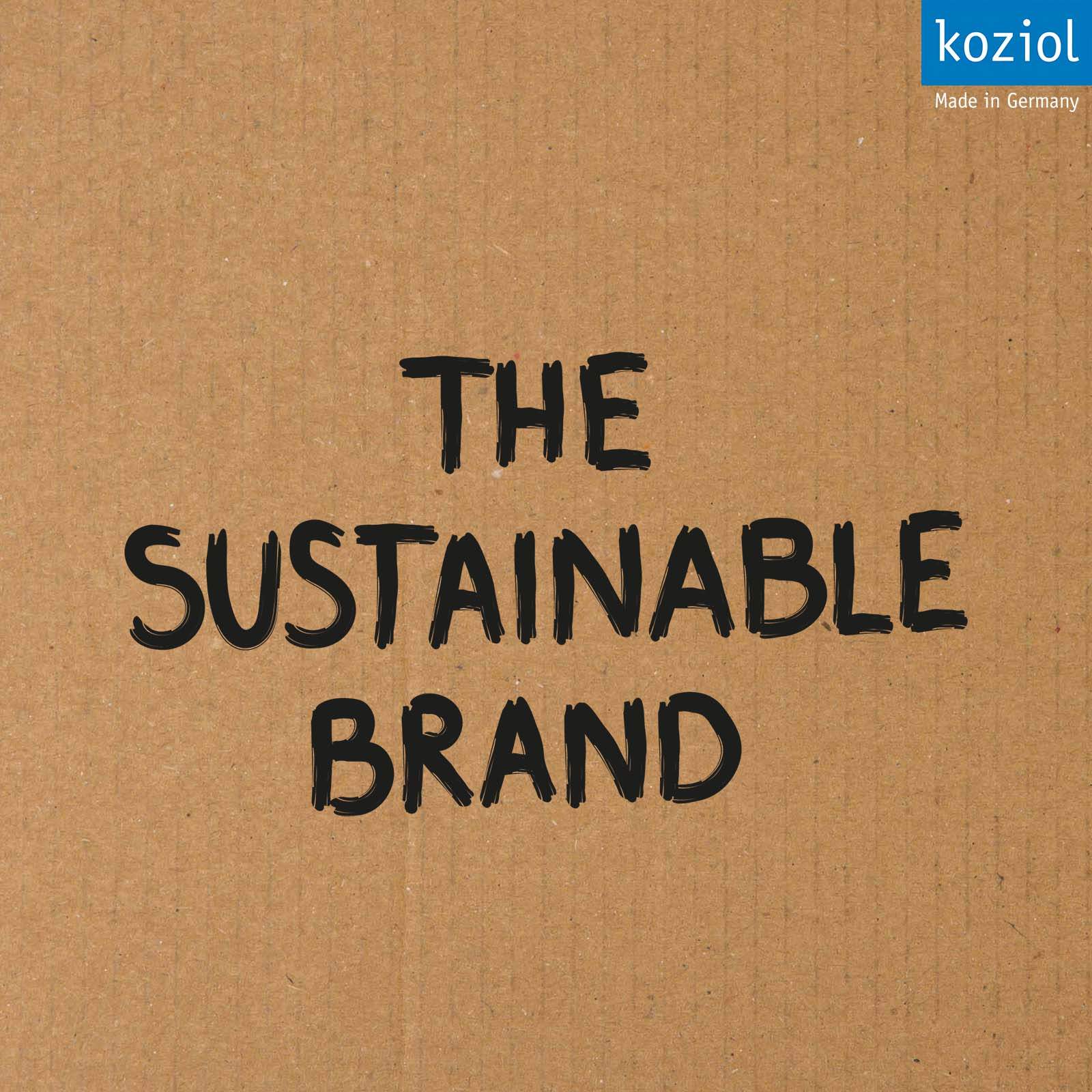 The sustainable brand