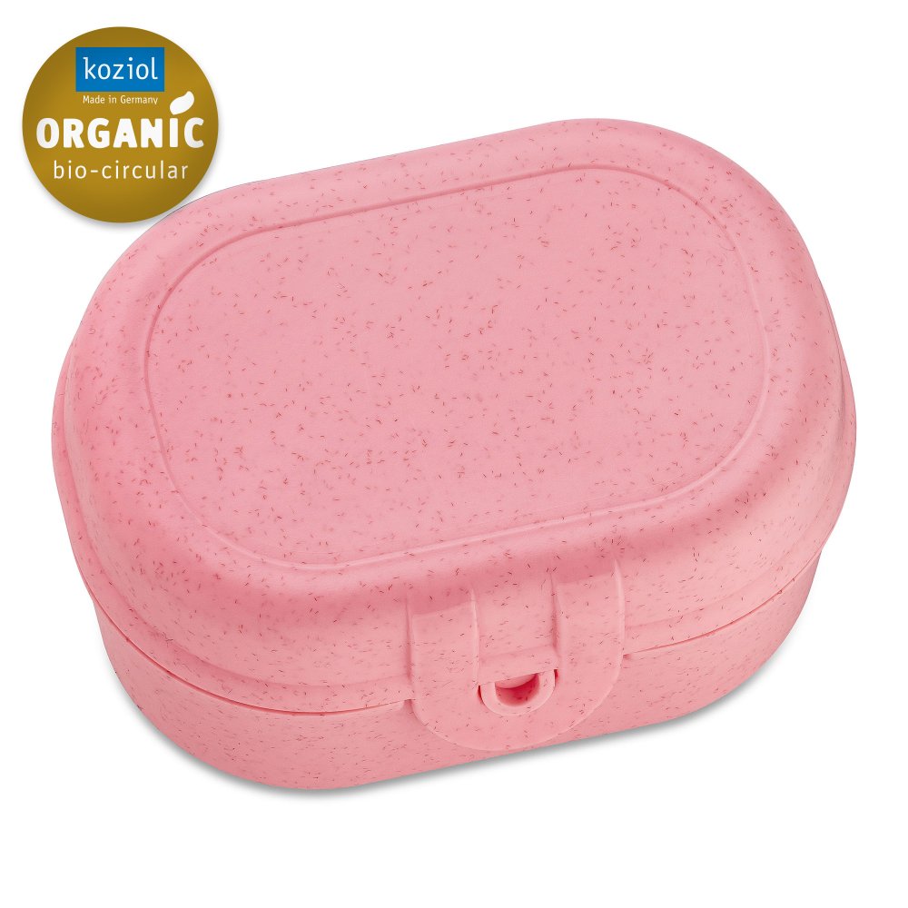 PASCAL MINI Lunchbox organic strawberry ice cream