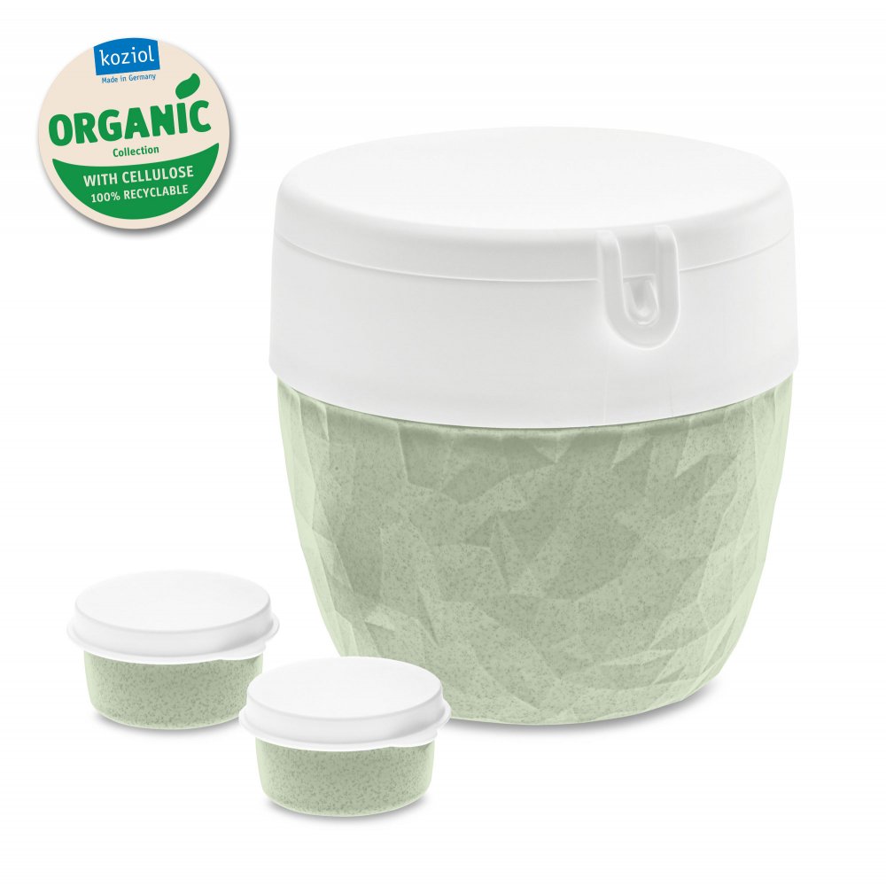 CLUB ORGANIC Bento Box organic green