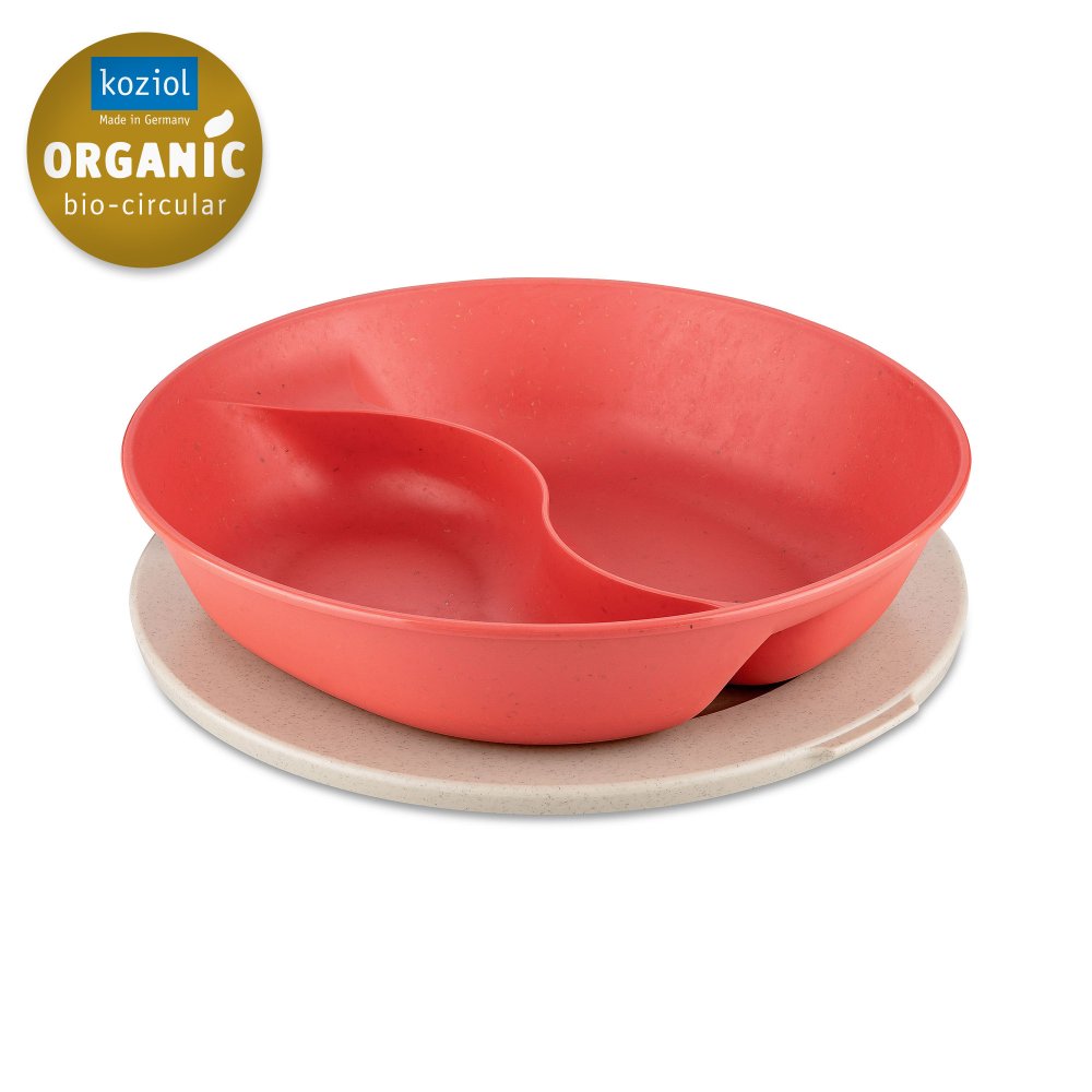 CONNECT SEPAREE Divider plate with lid 1,5l nature coral