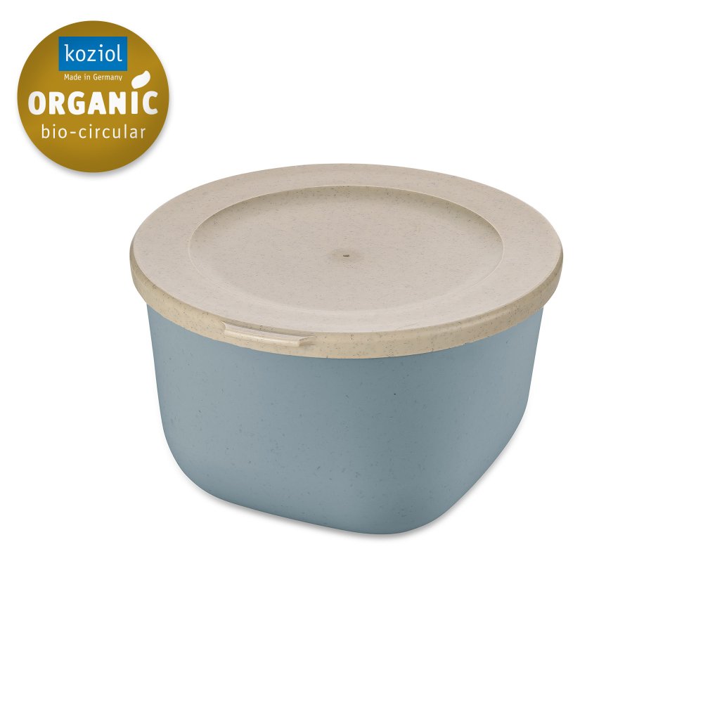 CONNECT BOX 1 Box with lid 1l nature flower blue