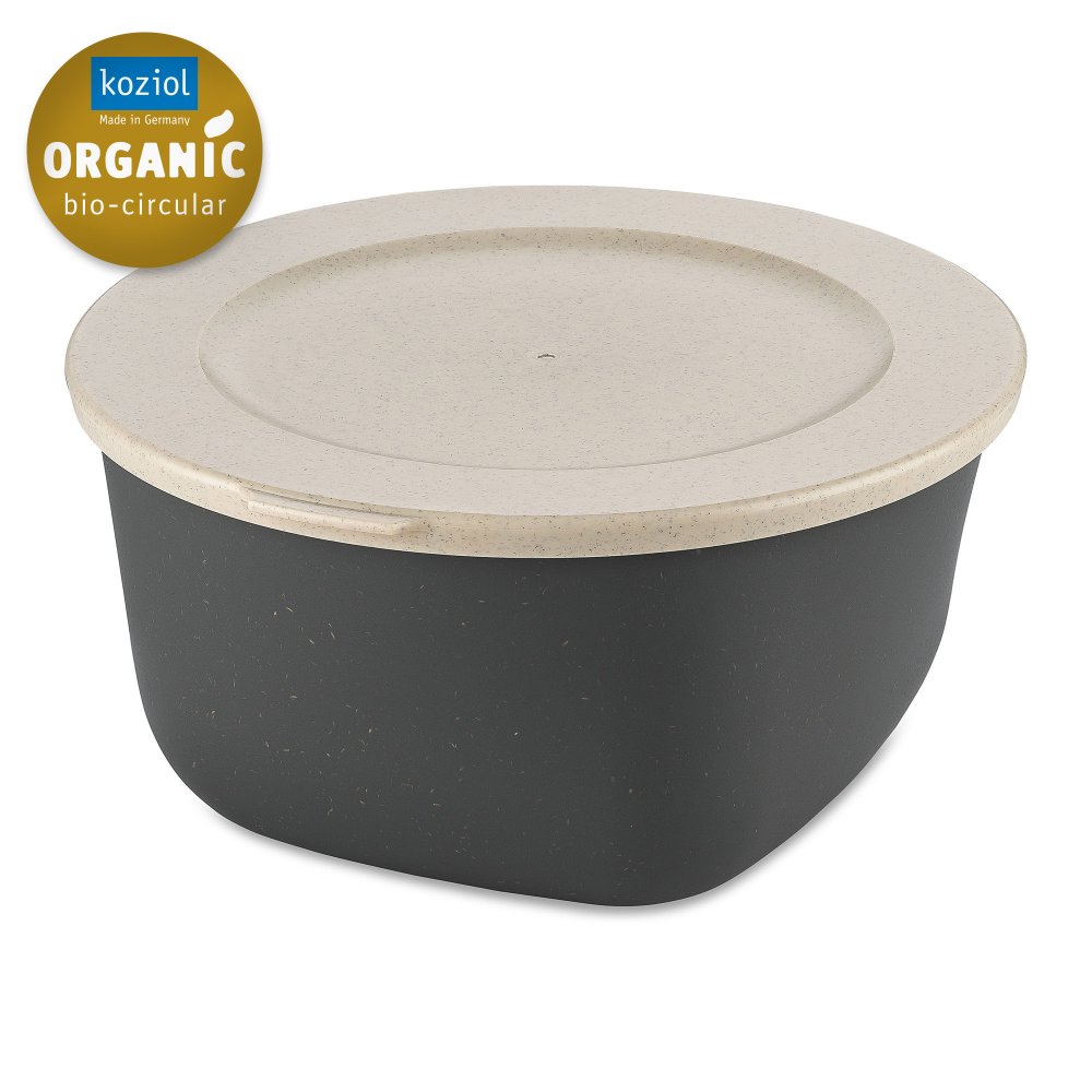 CONNECT BOX 2 Box with lid 2l nature ash grey