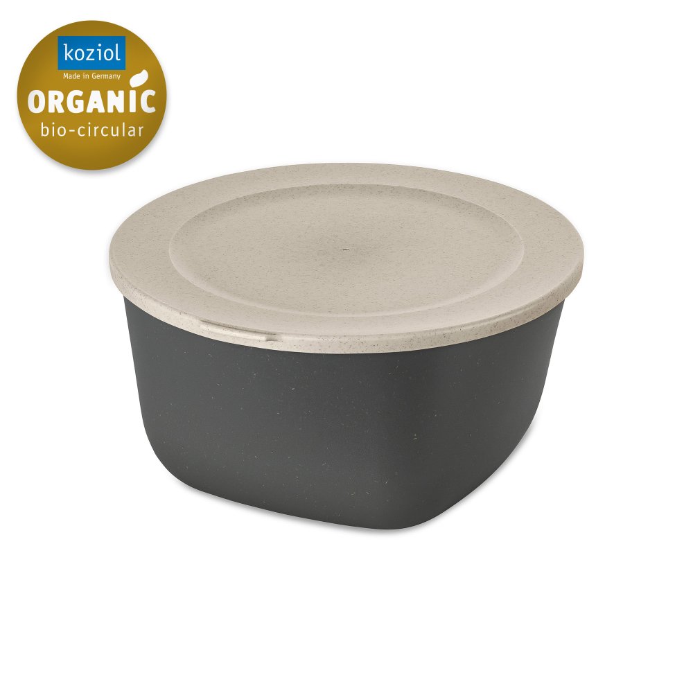 CONNECT BOX 4 Box with lid 4l nature ash grey