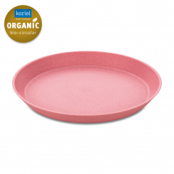 CONNECT PLATE small plate 205mm organic strawberry ice cream