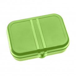 PASCAL L Lunch Box with Separator healthy green