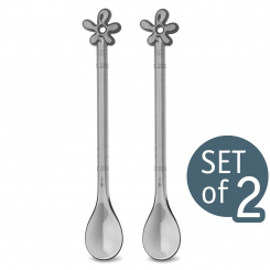 HAPPY SPOON A-PRIL XL Spoon Set of 2 transparent anthrazit