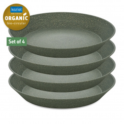 CONNECT PLATE 240mm Soup Plate Set of 4 nature ash grey