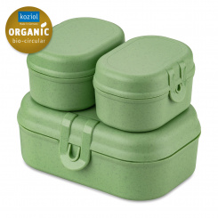 PASCAL READY MINI Lunchbox-Set nature leaf green