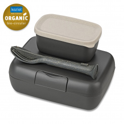 CANDY READY Lunch Box-Set + Cutlery-Set nature ash grey
