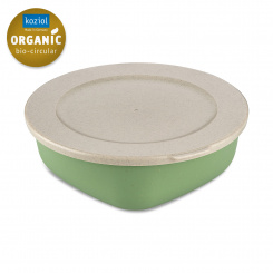 CONNECT BOX 1,3 Box with lid 1,3l nature leaf green