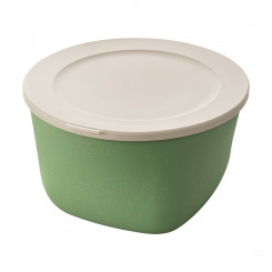 CONNECT BOX 1 Box with lid 1l nature leaf green