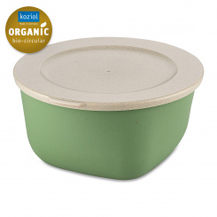 CONNECT BOX 2 Box with lid 2l nature leaf green
