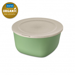 CONNECT BOX 4 Box with lid 4l nature leaf green